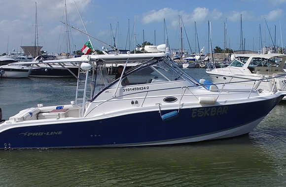 Meridian 391 Sedan (2006)